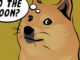 Dogecoin Futures Liquidations Jumps to $26M After Twitter Displays Token's Logo for Some Users
