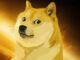 Dogecoin overtakes Cardano after Twitter goes doge-crazy