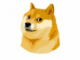 First Mover Americas: Dogecoin Pops on New Twitter Logo