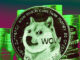 Mystery DOGE whale purchases RenQ Finance