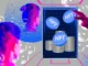 NFT Thefts Drop by Over 30% While Marketplace Dominance Battle Rages