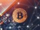Shrimps have aggressively accumulated BTC: Glassnode