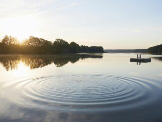 The Ripple Effect
