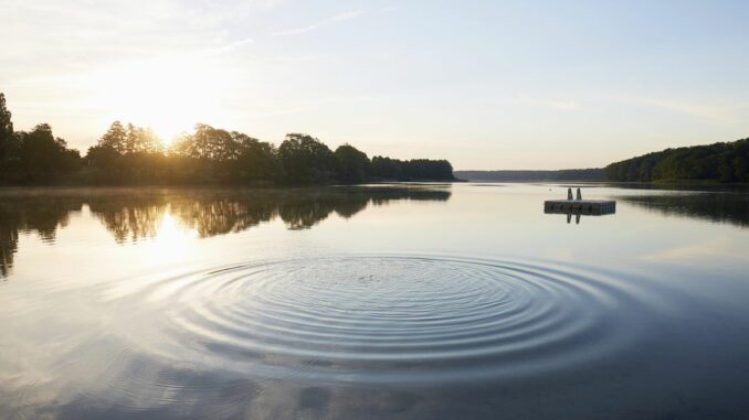 The Ripple Effect