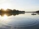 The Ripple Effect