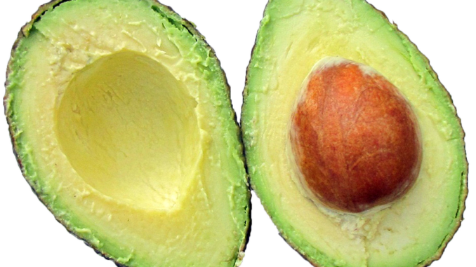 The crypto miner reckoning: no fate but what we make