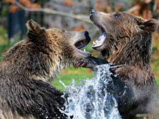 iZUMi Finance (IZI) down 15% as bears strike on KuCoin listing