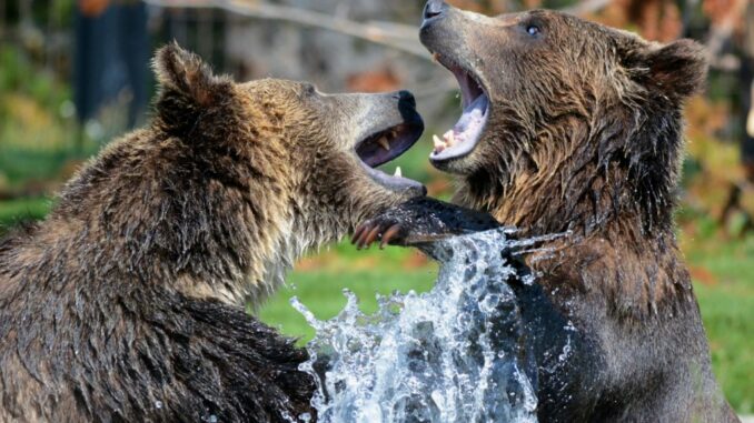 iZUMi Finance (IZI) down 15% as bears strike on KuCoin listing