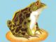 Bitcoin Community Divided Over BRC-20 Meme-Coin Fever Causing Congestion