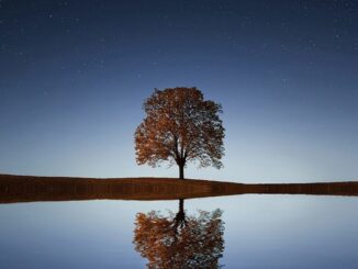 First Mover Asia: Bitcoin, Ether Open Asia’s Trading Week Flat