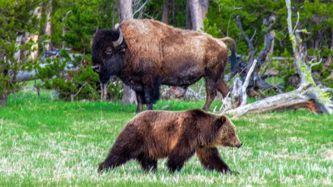 First Mover Asia: Will Bitcoin Soon Begin a Retest of 30K?