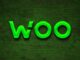 WOO price surged by 12% today: can it hit $0.3500 soon?