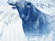 Bitcoin Bulls Getting Ready for Seasonal Surge: Matrixport
