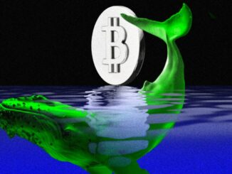 Bitcoin Whale Counts in Decline as Asset Distribution Continues