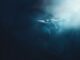 Ethereum Whales