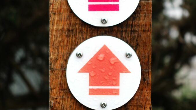 Three Arrows Capital Demands to Take Part in Genesis Bankruptcy Mediation