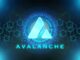 Avalanche announces $50M for purchase of tokenized assets