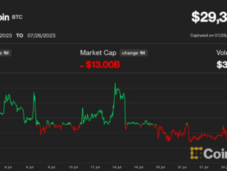 Bitcoin (BTC) Price Won’t Be Stuck Below $30K for Long, Crypto Options Traders Bet