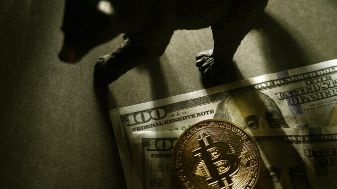 Bitcoin hash ribbons