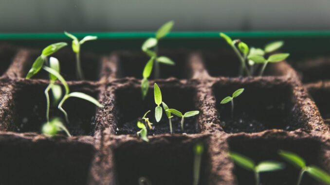 Can Bitcoin (BTC) and the Rest of Crypto Match the Internet and Hit 5B Users?