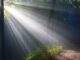 Coinbase, a16z-Backed 'Cash-Like' Crypto Wallet Beam Goes Live