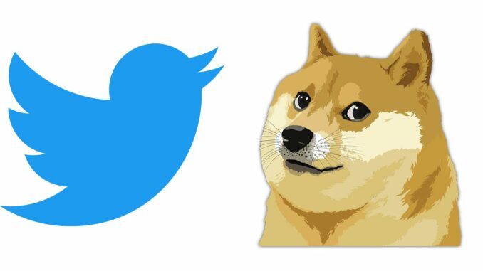 Dogecoin Pops 4% on Elon Musk Tweet