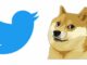 Dogecoin Pops 4% on Elon Musk Tweet