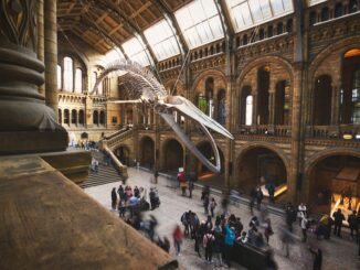The Sandbox and British Museum partner to bring history and art into the metaverse