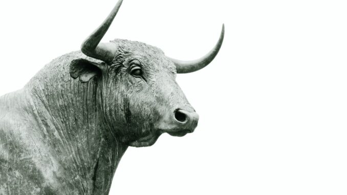 Crypto for Advisors: Bitcoin and the Bull