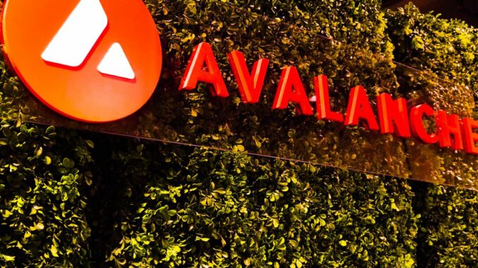 LayerZero, Stargate Propelled 2Q Growth in Avalanche Blockchain: Nansen