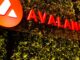LayerZero, Stargate Propelled 2Q Growth in Avalanche Blockchain: Nansen