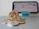Shiba Inu price prediction amid intensifying Shiba Memu competition