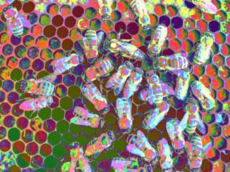 Ending the Staking Trade-Off Can Save DeFi Communities