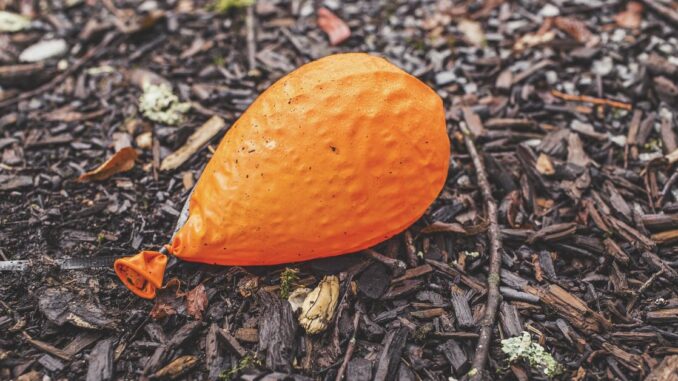 Ethereum’s Holesky Testnet Fails To Launch, in Rare Tech Misstep for the Blockchain