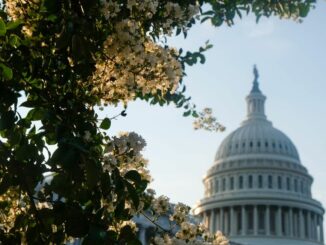 The Government Shutting Down Isn't Great for Crypto