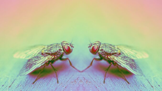 Blackbird, Crypto Restaurant App, Raises $24M in Funding Led by A16z