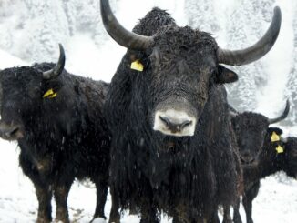 Waiting for the Next Crypto Bull Market? It’s Already Here.