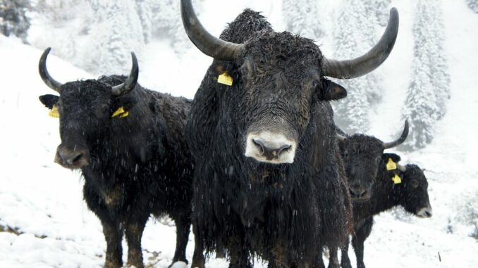Waiting for the Next Crypto Bull Market? It’s Already Here.
