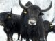 Waiting for the Next Crypto Bull Market? It’s Already Here.