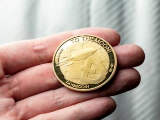 As Dogecoin and Shiba Inu Traction Slows, NuggetRush Defies Odds With 20% Price Boost