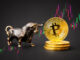 bitcoin bull run