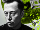 Elon Musk Envisions a Future Jobless World Where ‘AI Is Able to Do Everything’