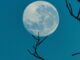 Atmosphere (Shutterstock/CoinDesk)