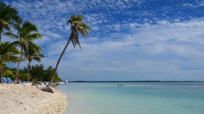 SBF Trial Feature image