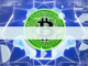 Bitcoin Closes a Week in Red after 8 Weeks of Gains, But Meme Kombat Emerges