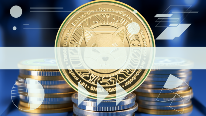Will These 2 Meme Coins Be The First to Provide Shiba Inu Gains from 2021?