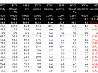 Bitcoin Spot ETF Flow - Day 13