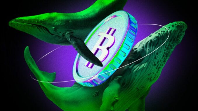 Why ETF Investors Should Worry About $3 Billion In Bitcoin (BTC) Whale Accumulation