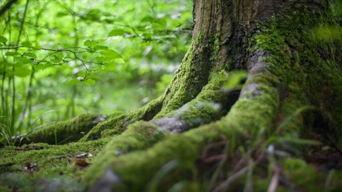 New York Stock Exchange with banner flagging ProShares Bitcoin Strategy ETF on the day it started trading.