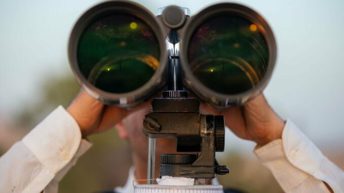 Elvis impersonators (Perry Knotts/Getty Images)